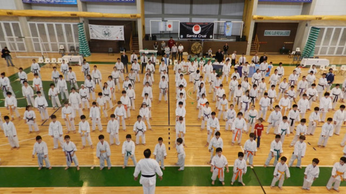 Torneo Regional de Karate
